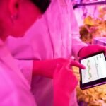 enhance digital growth tools