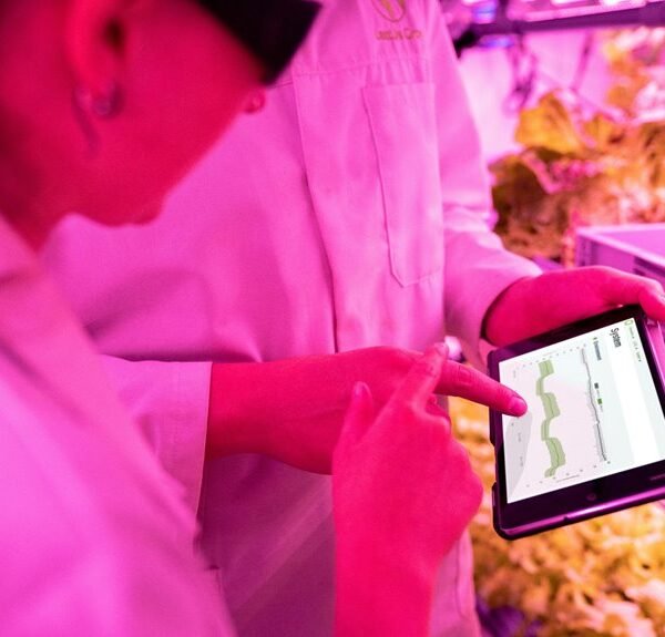 enhance growth with technology