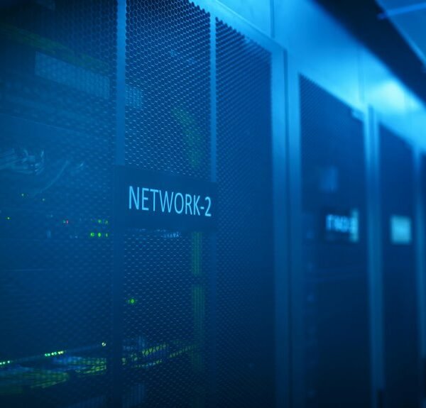 creative digital network identifier 262180912