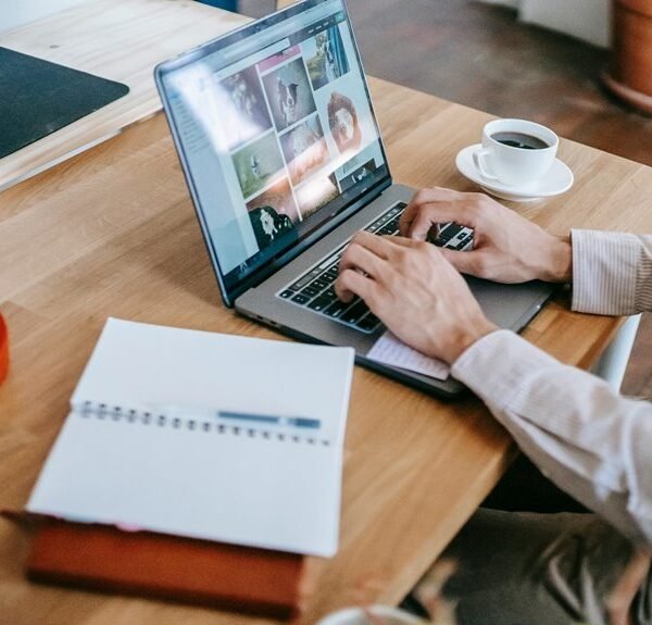 digital business hub identifier 8005000181